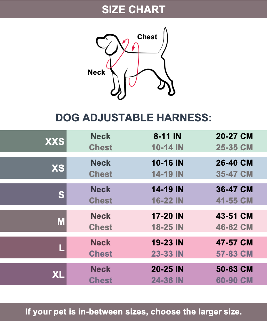 Dog harness sizes best sale